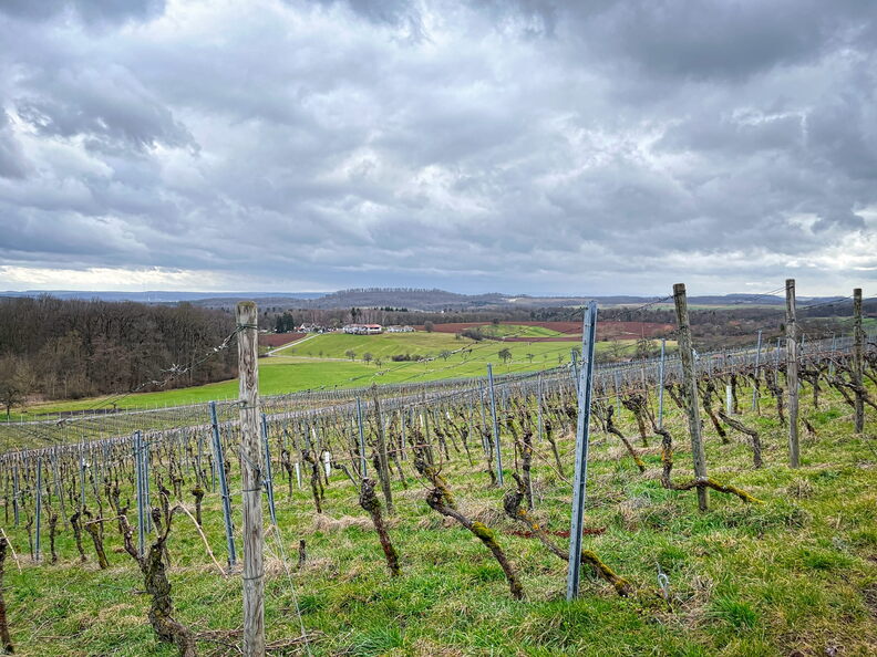 23-03-12 14-34-06 4792